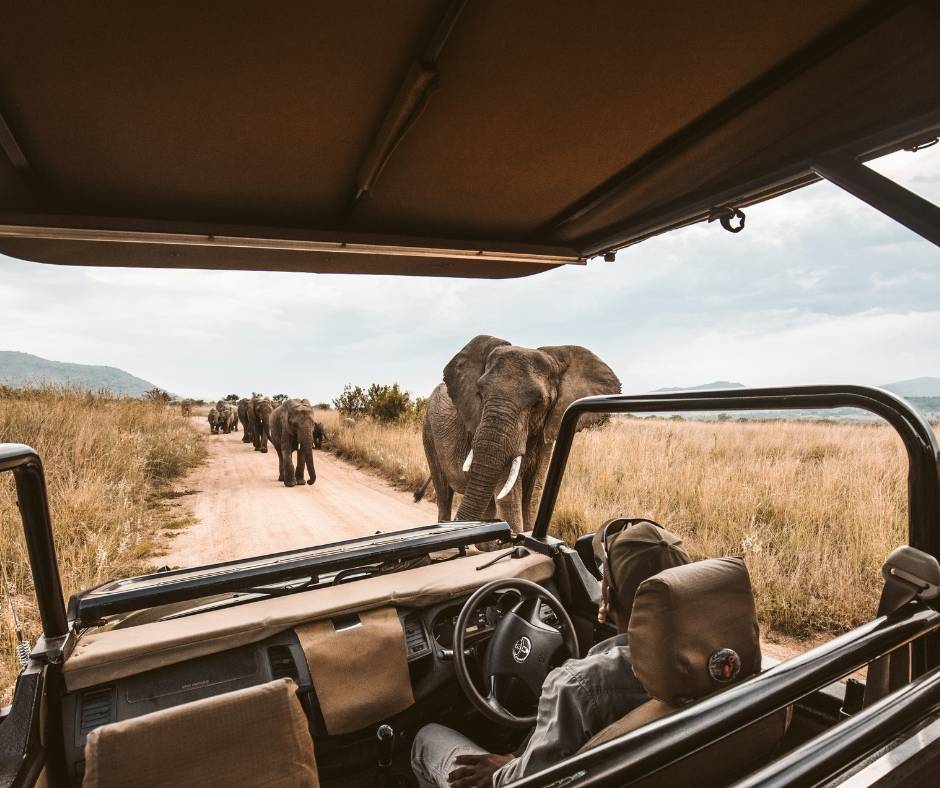 Quel Sac de Voyage Choisir pour un Safari 