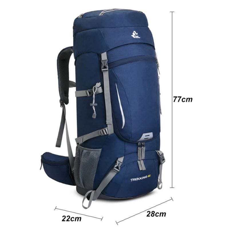 Sac à dos voyage 60l Dailysac