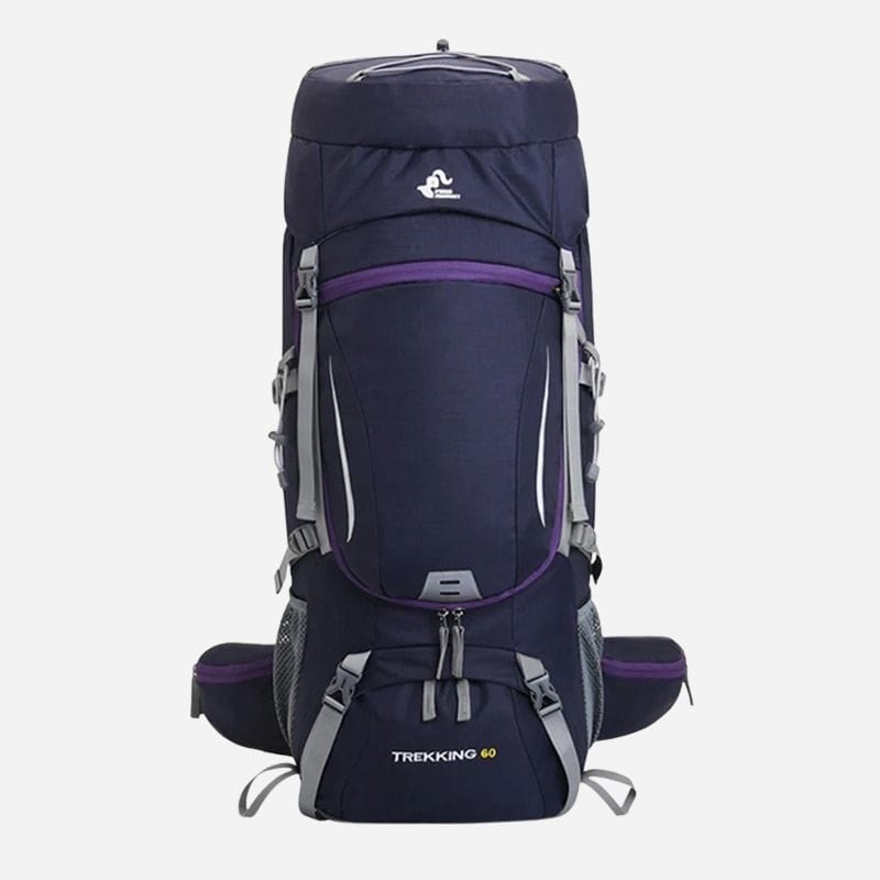 Sac à dos voyage 60l Violet Dailysac